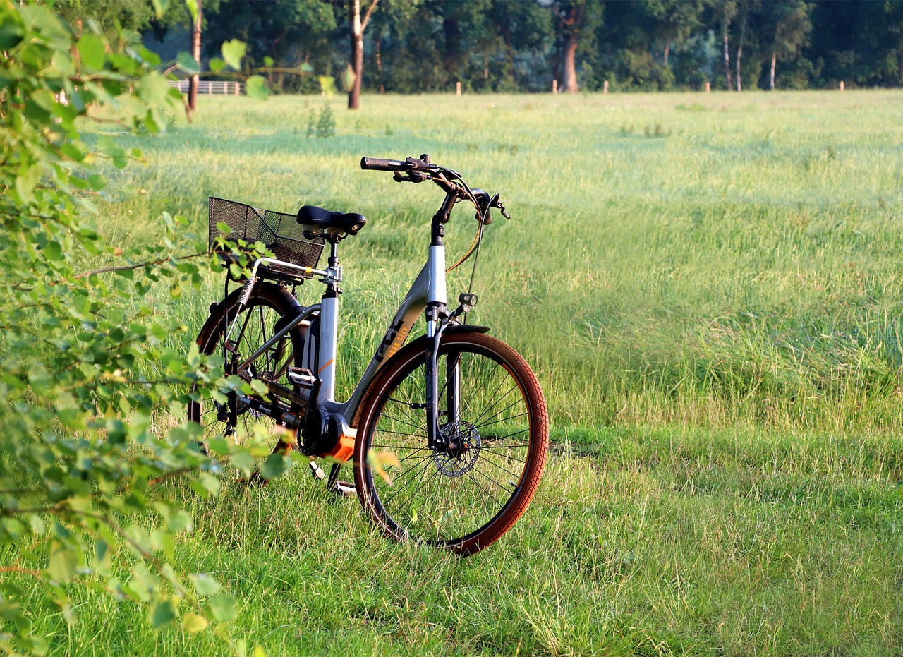 Elektrische fietsen met trapondersteuning zijn veruit favoriet bij de Nederlandse consument.